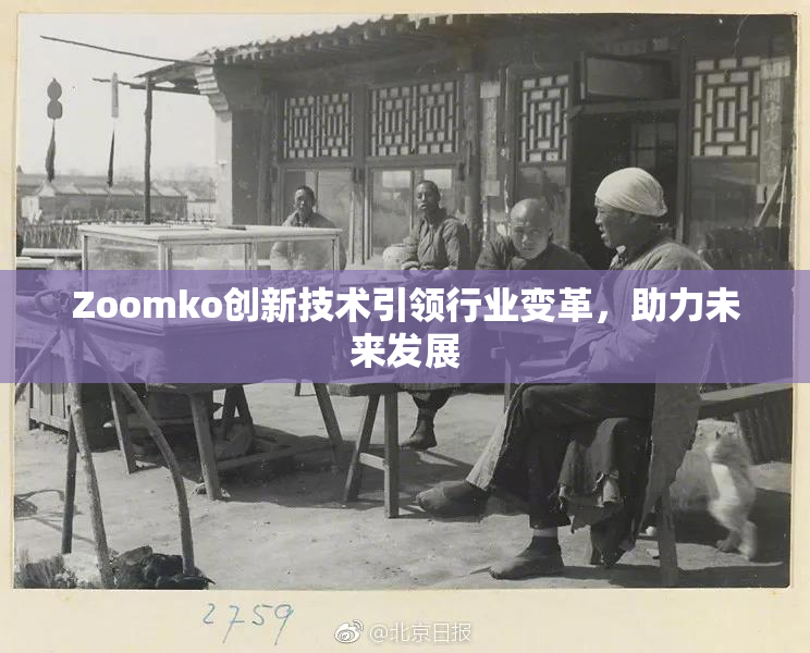 Zoomko创新技术引领行业变革，助力未来发展