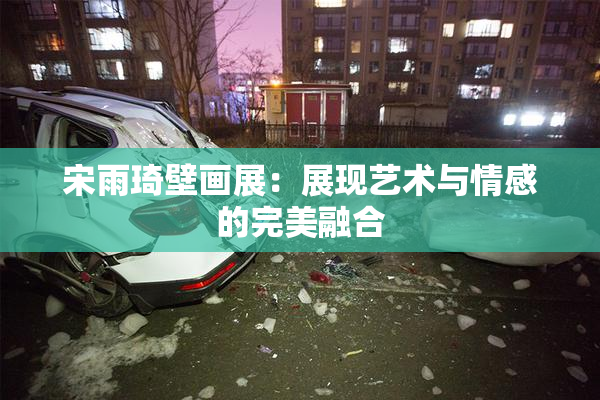 宋雨琦壁画展：展现艺术与情感的完美融合