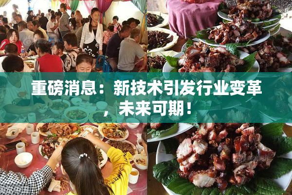 重磅消息：新技术引发行业变革，未来可期！