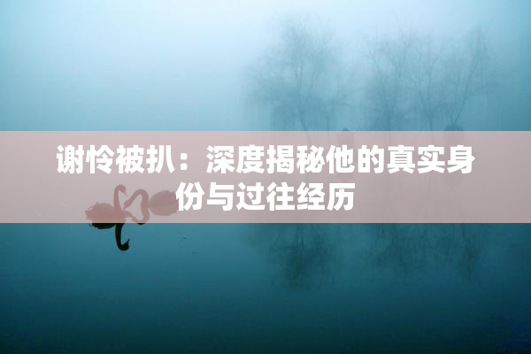 谢怜被扒：深度揭秘他的真实身份与过往经历