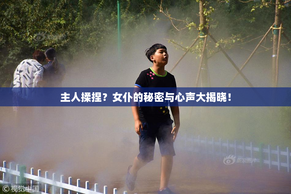 主人揉捏？女仆的秘密与心声大揭晓！
