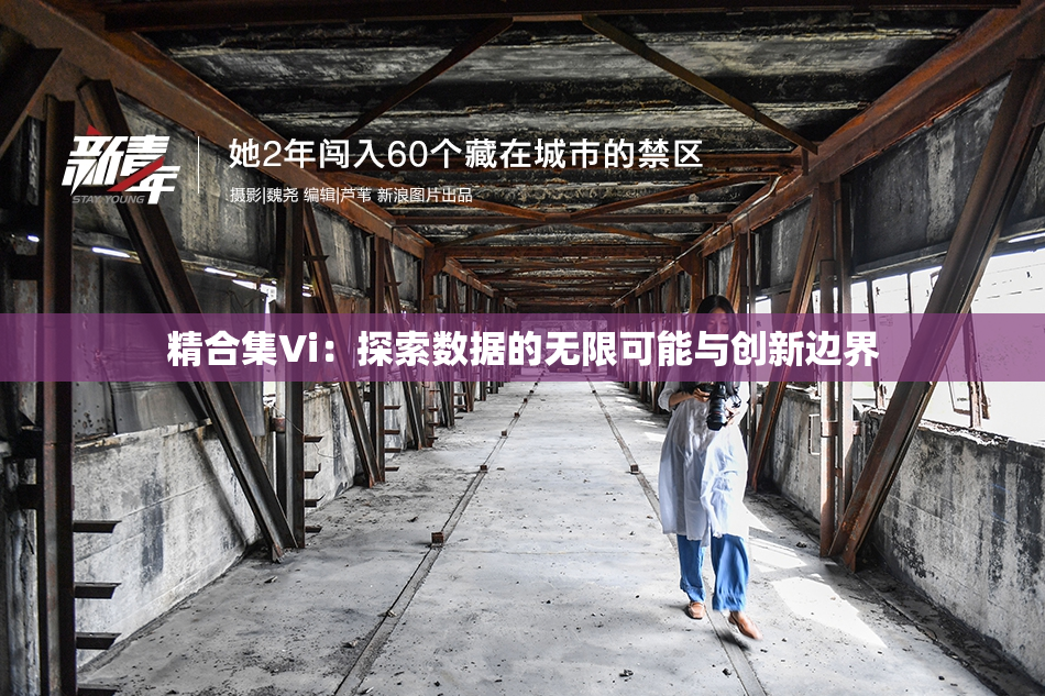 精合集Vi：探索数据的无限可能与创新边界