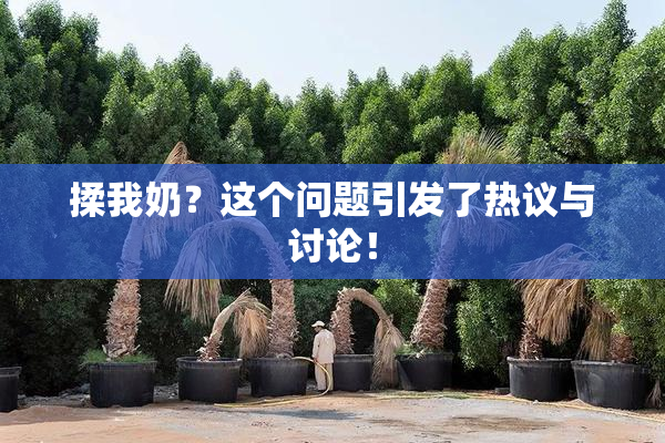 揉我奶？这个问题引发了热议与讨论！