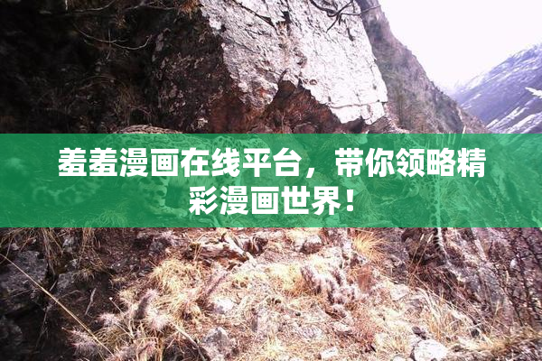 羞羞漫画在线平台，带你领略精彩漫画世界！