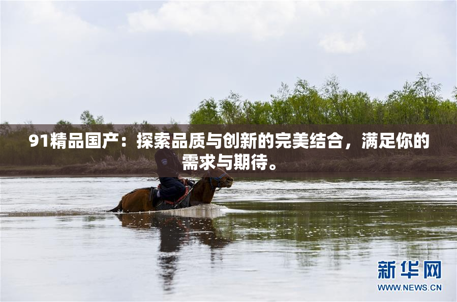 91精品国产：探索品质与创新的完美结合，满足你的需求与期待。