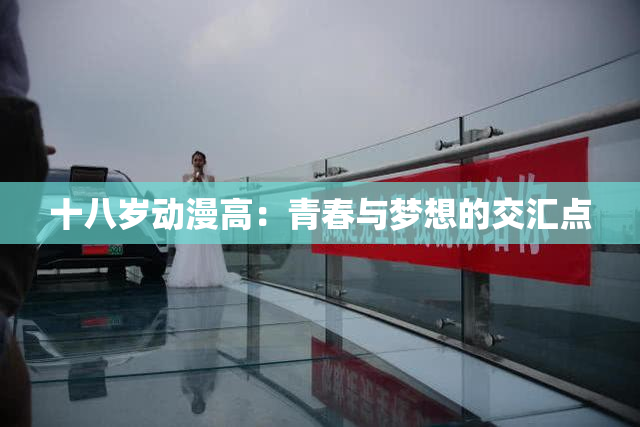 十八岁动漫高：青春与梦想的交汇点