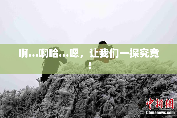 啊…啊哈…嗯，让我们一探究竟！