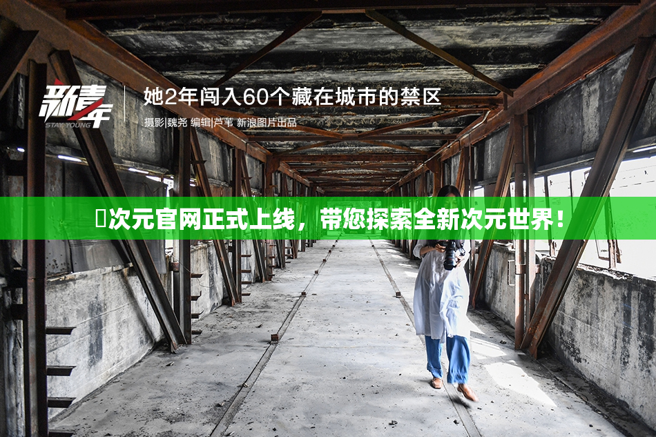 囧次元官网正式上线，带您探索全新次元世界！
