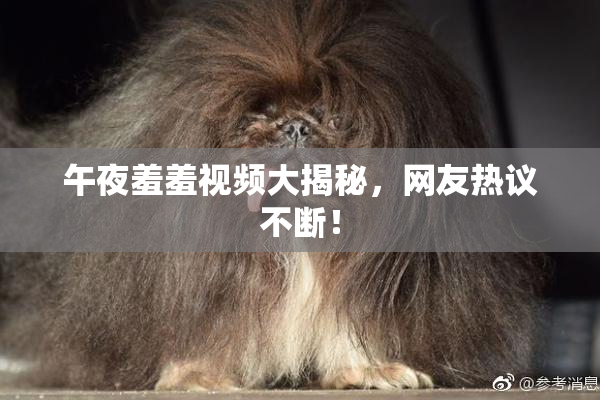 午夜羞羞视频大揭秘，网友热议不断！