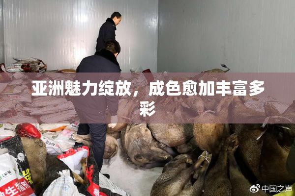 亚洲魅力绽放，成色愈加丰富多彩