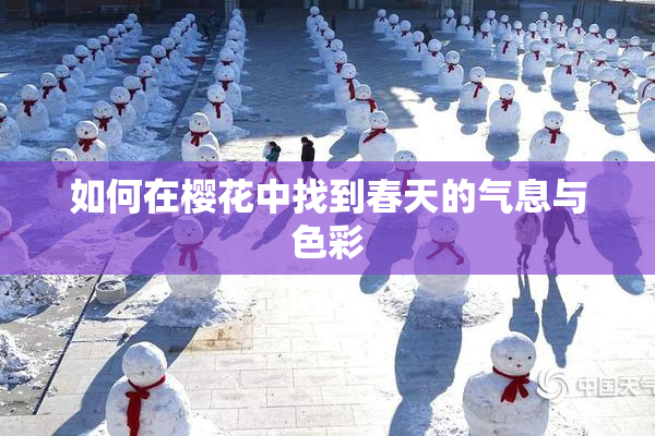 如何在樱花中找到春天的气息与色彩