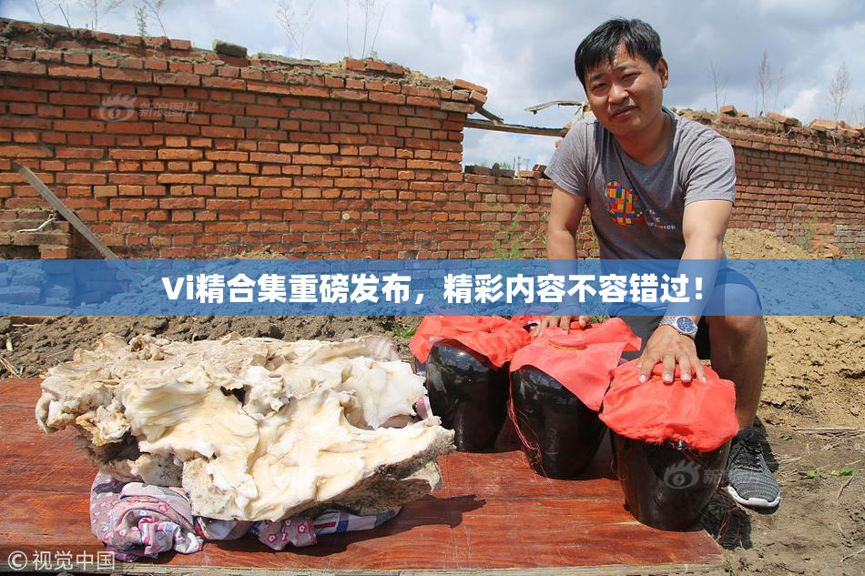 Vi精合集重磅发布，精彩内容不容错过！