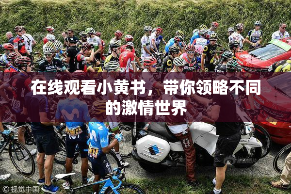 在线观看小黄书，带你领略不同的激情世界