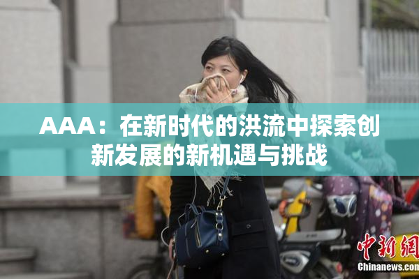 AAA：在新时代的洪流中探索创新发展的新机遇与挑战