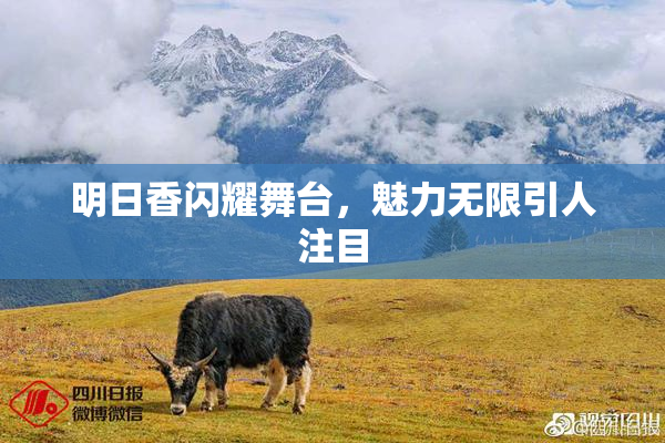 明日香闪耀舞台，魅力无限引人注目