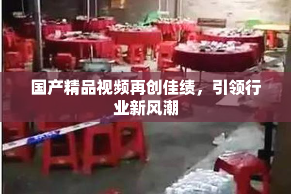 国产精品视频再创佳绩，引领行业新风潮