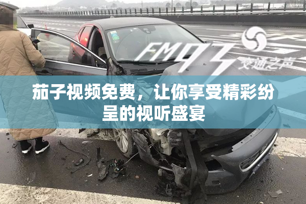 茄子视频免费，让你享受精彩纷呈的视听盛宴