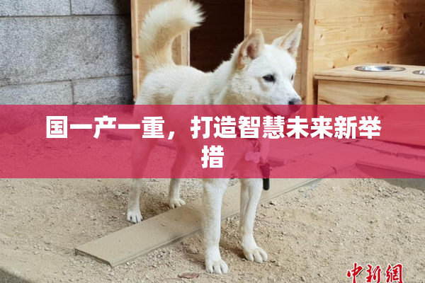 国一产一重，打造智慧未来新举措