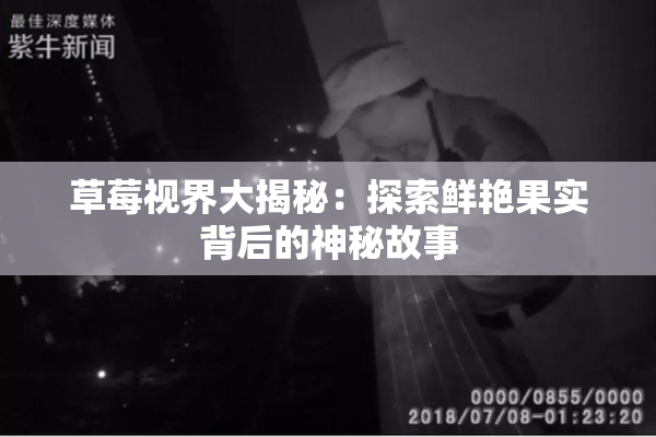 草莓视界大揭秘：探索鲜艳果实背后的神秘故事