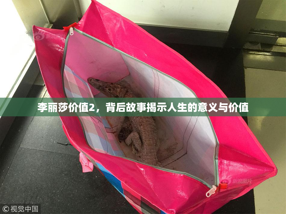 李丽莎价值2，背后故事揭示人生的意义与价值