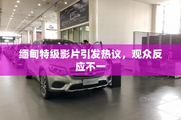 缅甸特级影片引发热议，观众反应不一