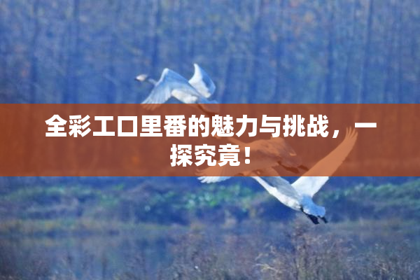 全彩工口里番的魅力与挑战，一探究竟！