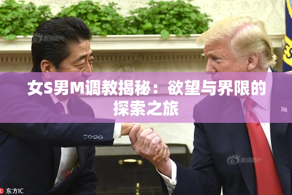 女S男M调教揭秘：欲望与界限的探索之旅