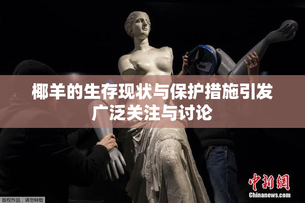 椰羊的生存现状与保护措施引发广泛关注与讨论
