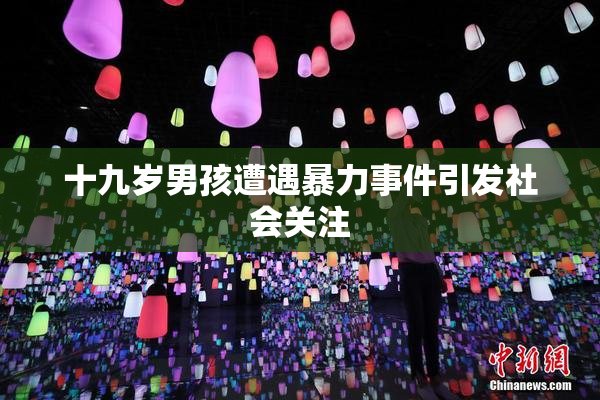 十九岁男孩遭遇暴力事件引发社会关注
