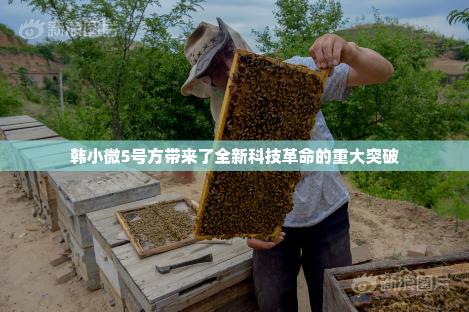 韩小微5号方带来了全新科技革命的重大突破