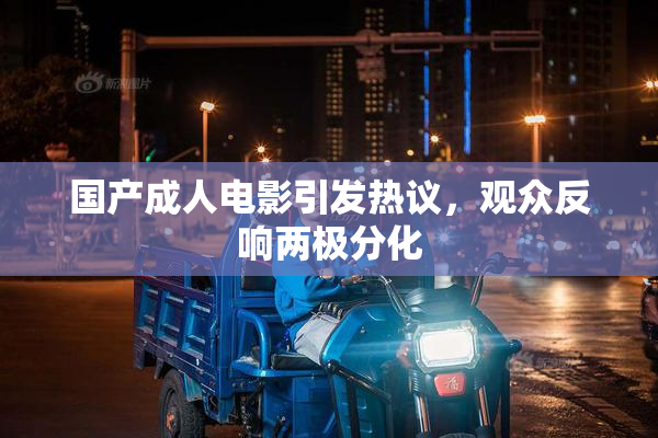 国产成人电影引发热议，观众反响两极分化