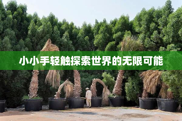 小小手轻触探索世界的无限可能