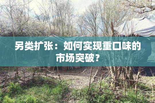 另类扩张：如何实现重口味的市场突破？