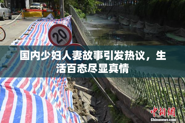 国内少妇人妻故事引发热议，生活百态尽显真情