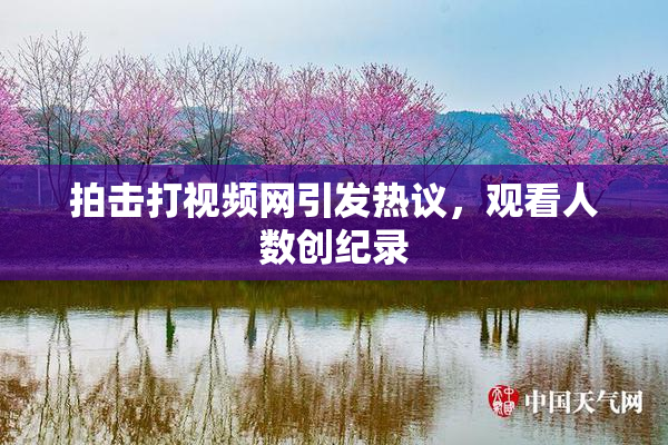 拍击打视频网引发热议，观看人数创纪录