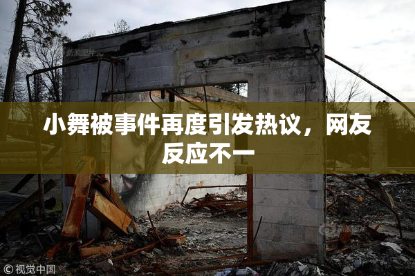 小舞被事件再度引发热议，网友反应不一