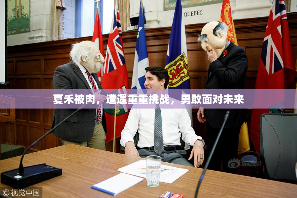 夏禾被肉，遭遇重重挑战，勇敢面对未来