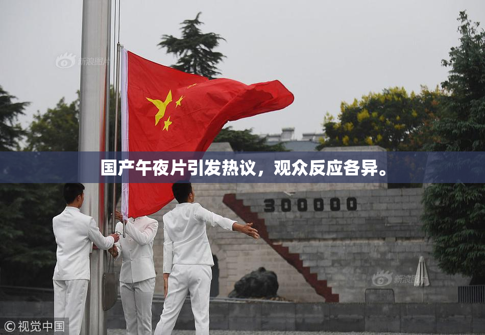 国产午夜片引发热议，观众反应各异。