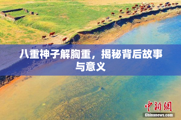 八重神子解胸重，揭秘背后故事与意义