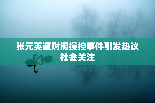 张元英遭财阀操控事件引发热议社会关注