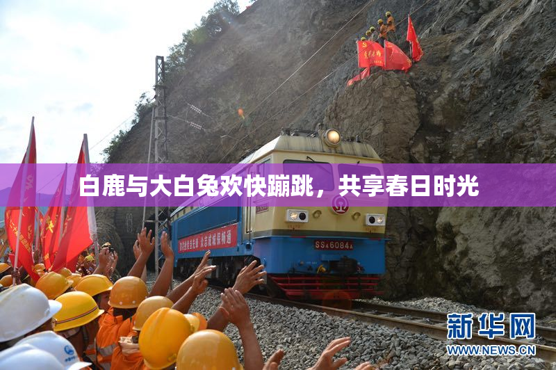 白鹿与大白兔欢快蹦跳，共享春日时光
