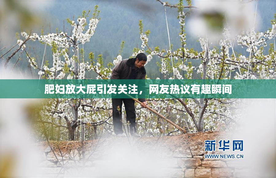 肥妇放大屁引发关注，网友热议有趣瞬间