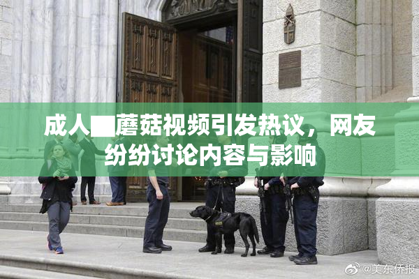 成人▇蘑菇视频引发热议，网友纷纷讨论内容与影响