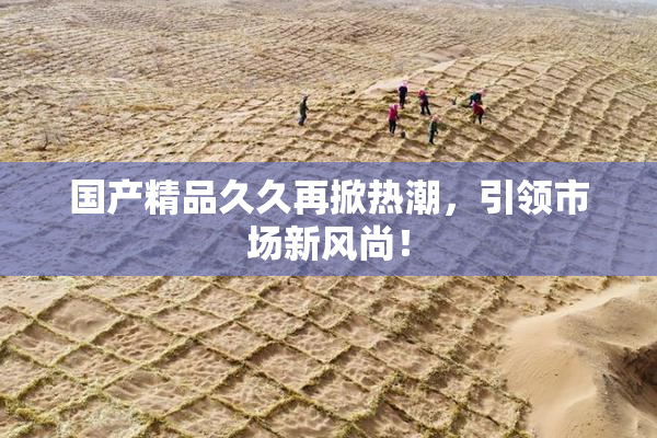 国产精品久久再掀热潮，引领市场新风尚！