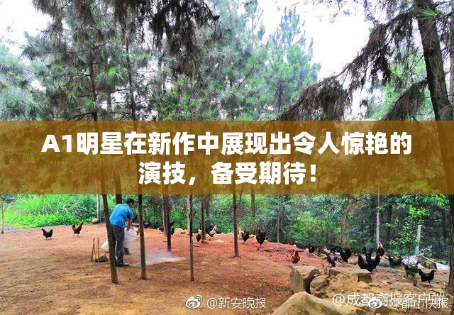 A1明星在新作中展现出令人惊艳的演技，备受期待！