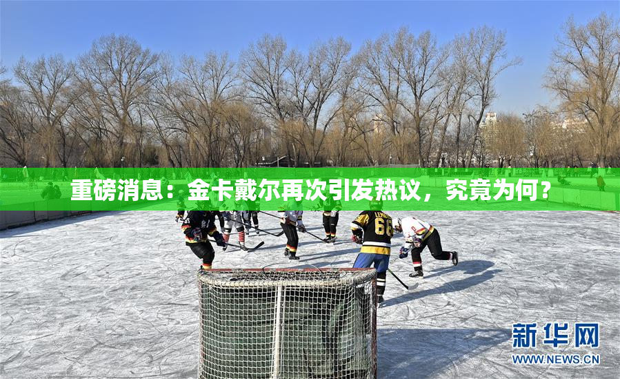 重磅消息：金卡戴尔再次引发热议，究竟为何？