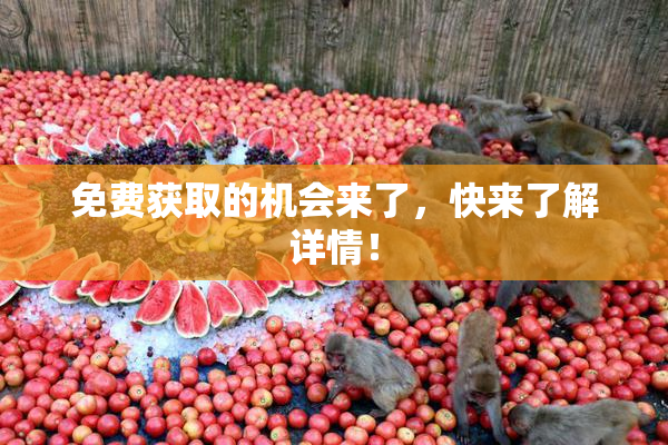 免费获取的机会来了，快来了解详情！