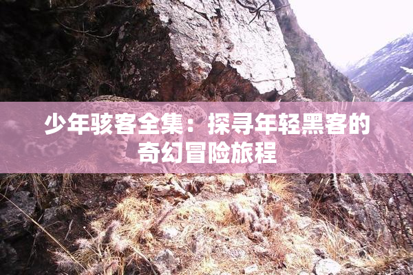 少年骇客全集：探寻年轻黑客的奇幻冒险旅程