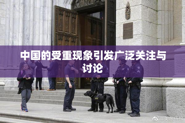 中国的受重现象引发广泛关注与讨论