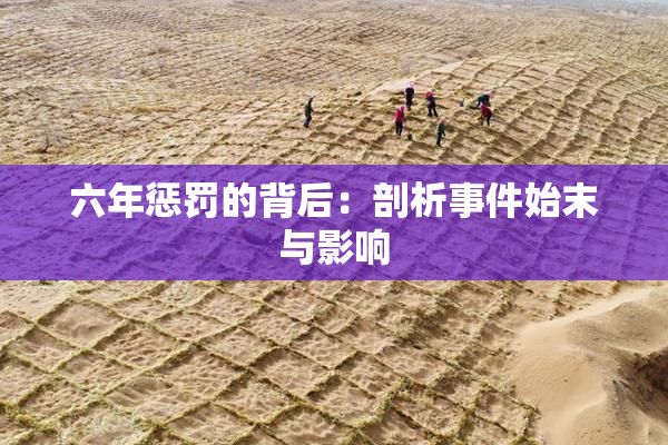 六年惩罚的背后：剖析事件始末与影响